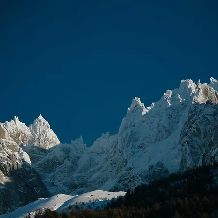 Duplex En Vieux Bois Hyper Centre Apartman *