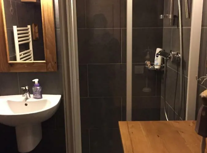 Duplex En Vieux Bois Hyper Centre Apartman *