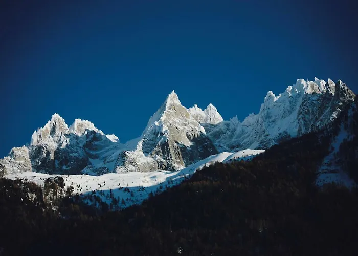 Apartment Duplex En Vieux Bois Hyper Centre