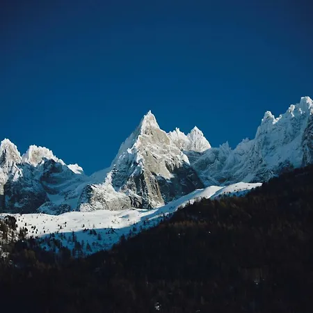 公寓 Duplex En Vieux Bois Hyper Centre